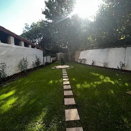 Jardin En El Centro Catedral Овьедо