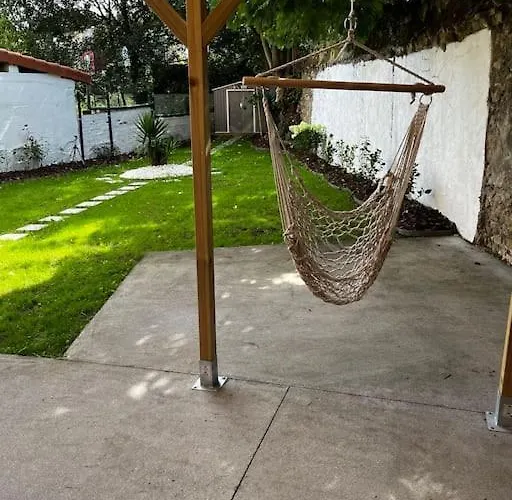 Jardin En El Centro Catedral Oviedo